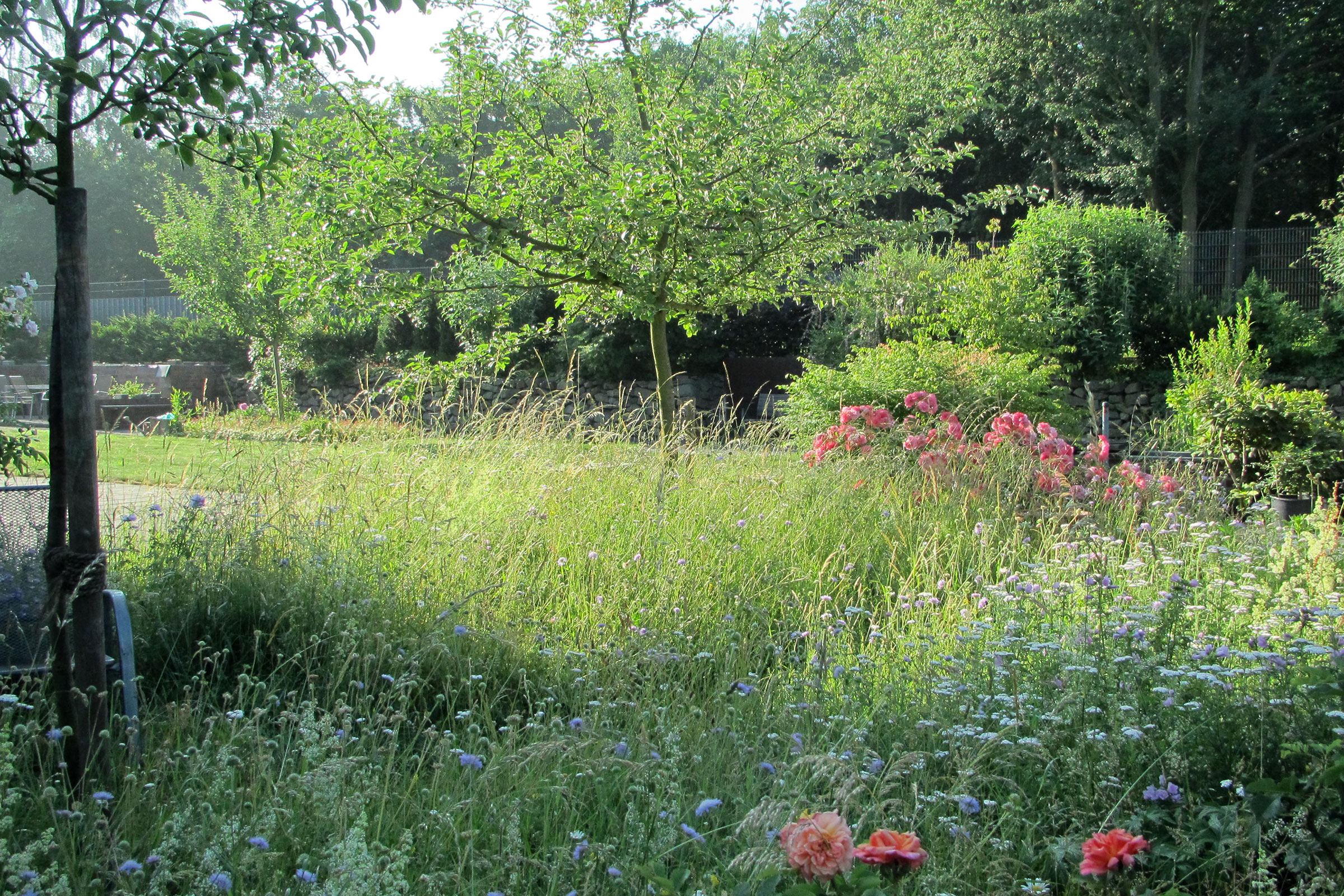 Blumenwiese und Obstgarten